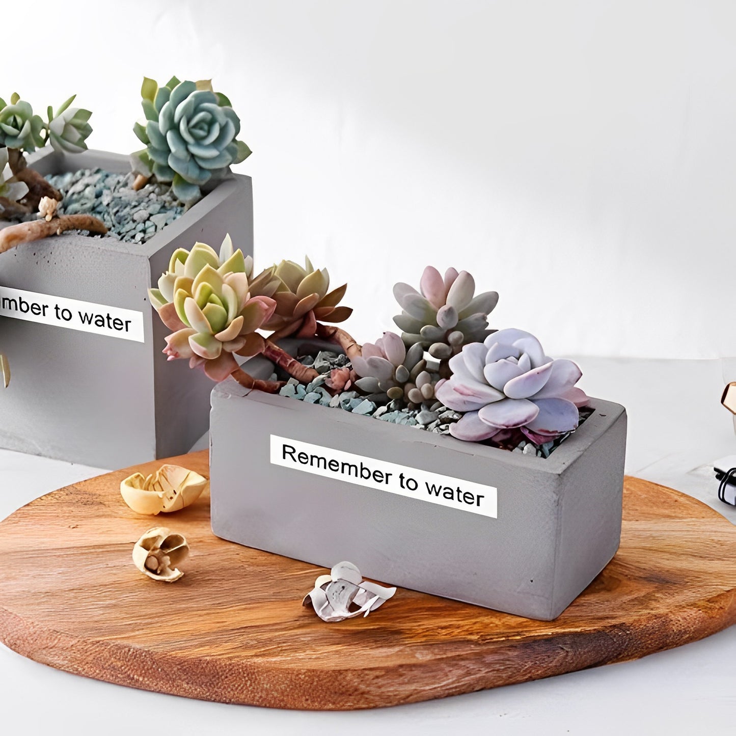 MarkDomain TZe-251 24mm Label Tape Compatible Brother P Touch TZe TZ Label Tape 24mm 0.94 Laminated White TZe251 TZ251 Tape for Brother Ptouch PTD600 PT-D610BT PT-P700 PT-P710BT Label Maker, 3-Pack